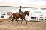 SBM_00532