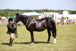 SBM_17934