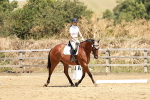 SBM_002964