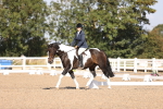 SBM_01929