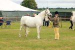 SBM_04226