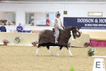 SBM_09725