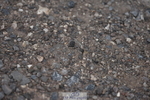240623A-174912-20246