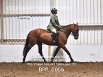 BPP_0006