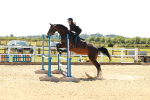 SBM_006706