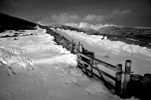 Mann in Mono
