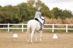 SBM_006565