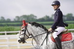 Cls 21 British Novice & 80cm Open portfolio