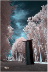 infra-red portfolio