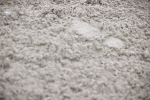 SBM_007096