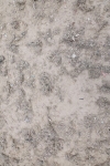 SBM_010803