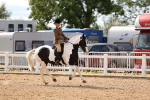 SBM_15848