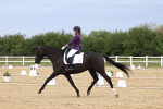 SBM_014179