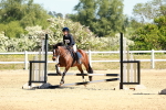 SBM_007130