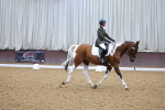 SBM_001237