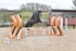 BPP_1087