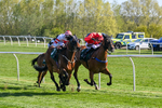 Race 6 portfolio