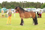 SBM_06323