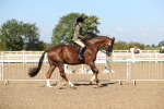 SBM_02234