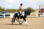 SBM_03226