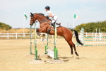 SBM_003447