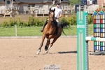 Cls 6 Foxhunter and 1.20m Open portfolio