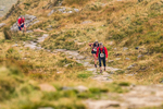 Peris Horseshoe-863