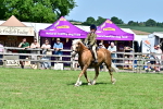 SBM_08022