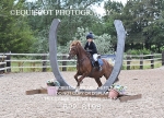 BPP_8198