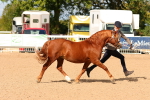 SBM_10992