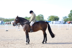 SBM_16860