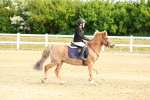 SBM_006616