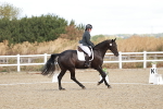 SBM_003560