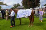 250823-Race 3-Lake Forest-0556