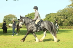 SBM_59230