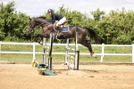 SBM_003402