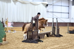 SBM_003163