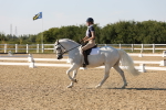 SBM_006919