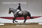 BPP_2547