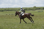 BVHT 140517  IXC -397