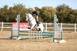 SBM_000716