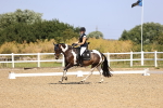 SBM_009424