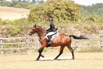 SBM_003552