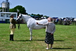 SBM_03854