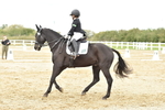 SBM_002551