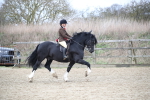 SBM_007124