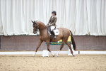 SBM_019554