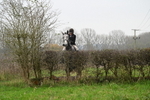 WJ6_7175
