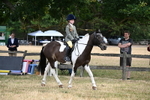 WJ6_3884