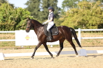 SBM_007654